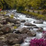 Larga Exposición – Efecto Seda